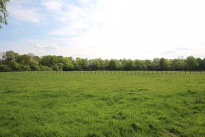 Photo 25- click for photo gallery